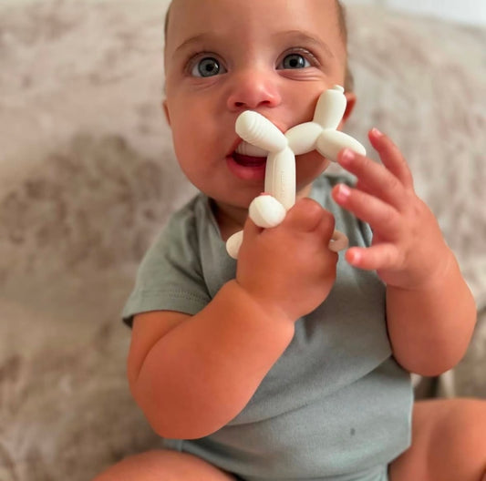 Puppy Teether (Pink)